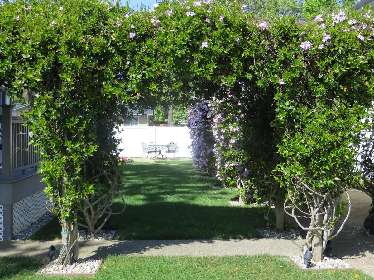 Arbor Guest House Napa Exteriör bild